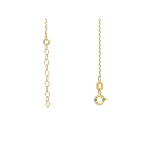 Srebrni lančić pozlaćen zlatom